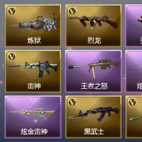 5V武器 2皮肤 可排位 新锐