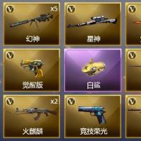  2传说武器 3王者武器 103V武器 5V角色 33皮肤 可排位