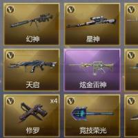 1炫金武器 24V武器 8皮肤 可排位