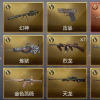 2传说武器 3王者武器 4炫金武器 99V武器 2V角色 21皮肤 可排位